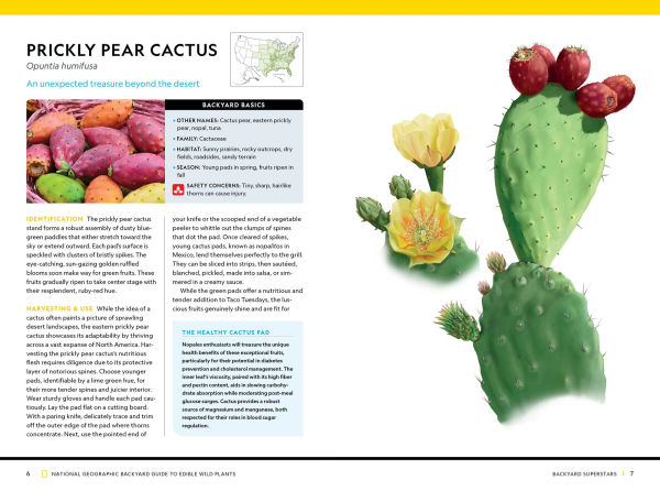 National Geographic Backyard Guide to Edible Wild Plants