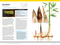 Alternative view 7 of National Geographic Backyard Guide to Edible Wild Plants