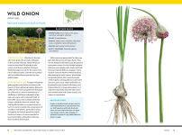 Alternative view 8 of National Geographic Backyard Guide to Edible Wild Plants