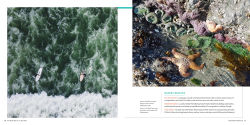 Alternative view 5 of 100 Beaches of a Lifetime: The World's Ultimate Shorelines