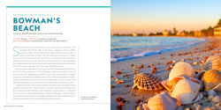 Alternative view 8 of 100 Beaches of a Lifetime: The World's Ultimate Shorelines