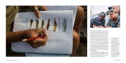 Alternative view 3 of Okavango and the Source of Life: Exploring Africa's Lost Headwaters