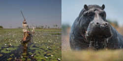Alternative view 7 of Okavango and the Source of Life: Exploring Africa's Lost Headwaters