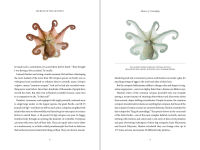 Alternative view 3 of Secrets of the Octopus (B&N Exclusive Edition)