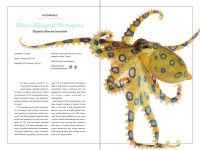 Alternative view 5 of Secrets of the Octopus (B&N Exclusive Edition)