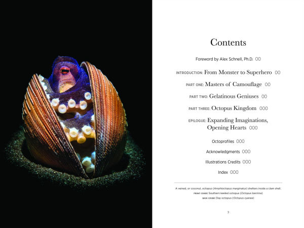 Secrets of the Octopus (B&N Exclusive Edition)
