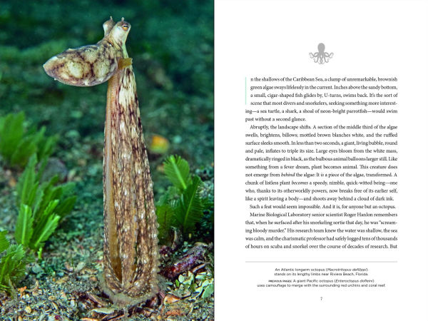 Secrets of the Octopus (B&N Exclusive Edition)