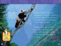 Alternative view 3 of Pandas (National Geographic Readers Series)