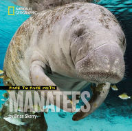 Face to Face with Manatees