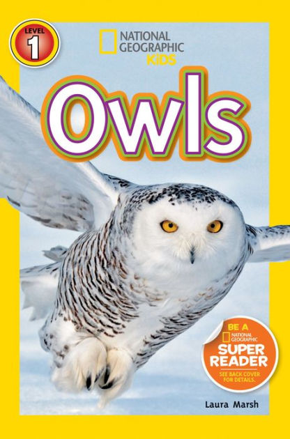 court of owls trade paperback