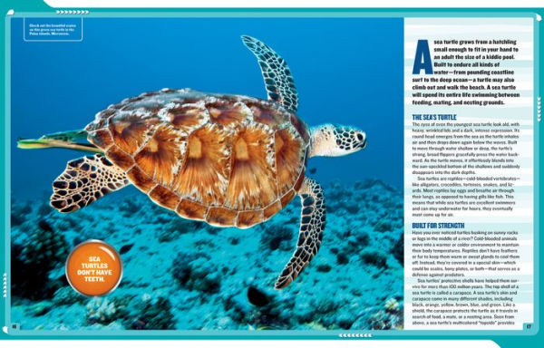 National Geographic Kids Mission: Sea Turtle Rescue: All About Sea Turtles and How to Save Them