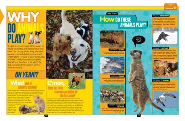 National Geographic Kids Why?: Over 1,111 Answers to Everything