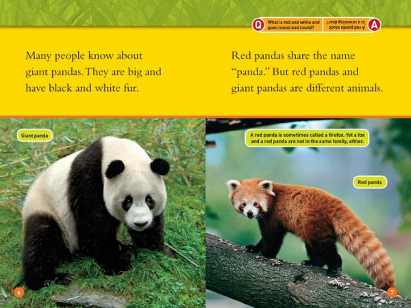 Red Pandas (National Geographic Readers Series)