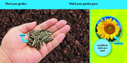 Alternative view 3 of National Geographic Kids Look & Learn: In My Garden