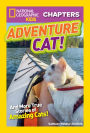 Adventure Cat! (National Geographic Chapters Series)