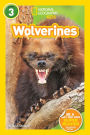 Wolverines (National Geographic Readers Series: Level 3)