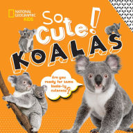 Title: So Cute! Koalas, Author: Crispin Boyer