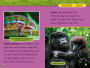 Alternative view 4 of National Geographic Readers: Rainforests (Level 2)