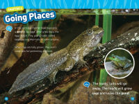 Alternative view 3 of Animal Tails (National Geographic Kids Readers, Level 1/Co-Reader)