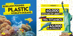 Alternative view 3 of Brain Candy 2: Seriously Sweet Facts to Satisfy Your Curiosity