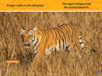 Alternative view 4 of Stripes and Spots (National Geographic Kids Readers, Pre-Reader)