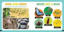 Alternative view 6 of Little Kids First Nature Guide Bugs