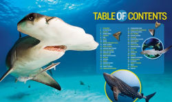 Alternative view 5 of 1,000 Facts About Sharks