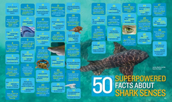 1,000 Facts About Sharks