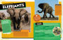 Alternative view 3 of The Ultimate Book of African Animals