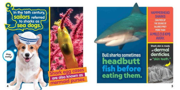 Weird But True Sharks