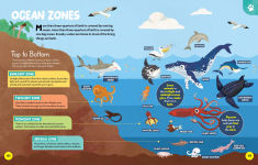 Alternative view 4 of National Geographic Little Kids First Encyclopedia of Almost Everything