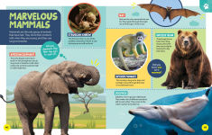 Alternative view 5 of National Geographic Little Kids First Encyclopedia of Almost Everything