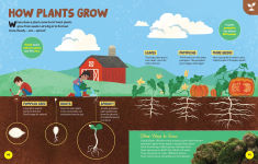 Alternative view 6 of National Geographic Little Kids First Encyclopedia of Almost Everything
