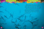 Alternative view 2 of National Geographic Kids 5-Minute Shark Stories