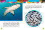 Alternative view 4 of National Geographic Kids 5-Minute Shark Stories