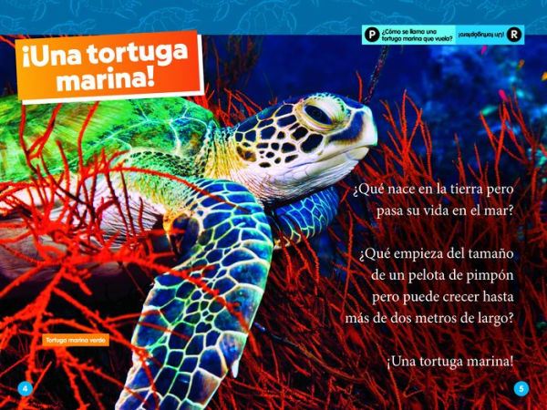 National Geographic Readers: Las Tortugas Marinas (L2)