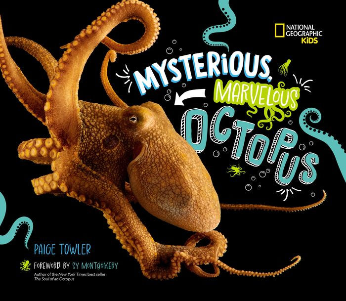 Tara Books   “The Undecided Octopus ” Tara Books “The Undecided Octopus ”