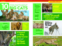 Alternative view 7 of National Geographic Kids Almanac 2026