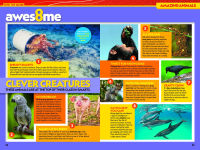 Alternative view 9 of National Geographic Kids Almanac 2026
