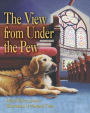 The View from Under the Pew: Braille Version