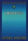Hebrews: Abingdon New Testament Commentaries