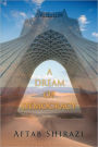 A Dream Of Democracy