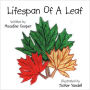 Lifespan of A Leaf