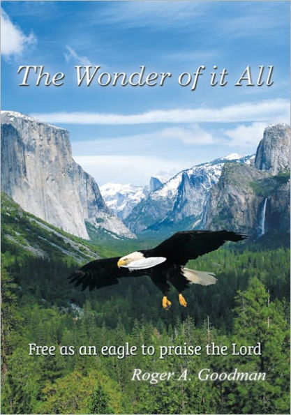 The Wonder of it All
