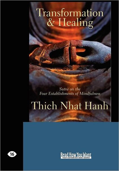 Essay on nhat hanh transformation and healing 07 picture