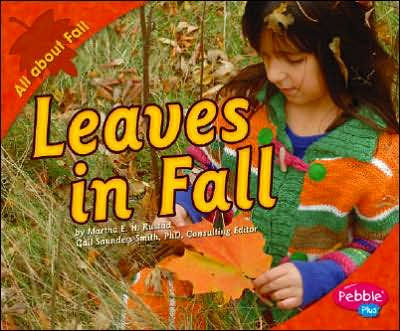 Leaves in Fall