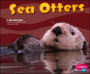 Sea Otters