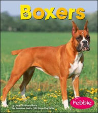 Boxers