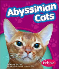 Abyssinian Cats