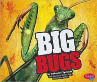Big Bugs